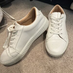 Steve Madden Sneakers